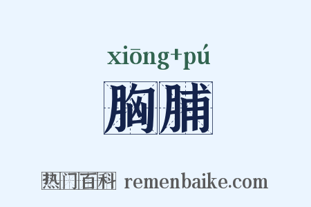 胸脯是什么意思的图片